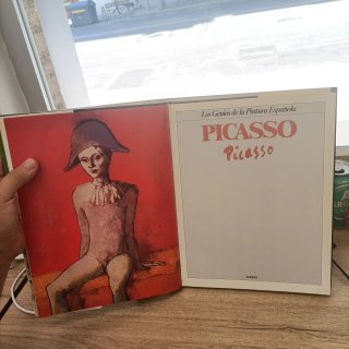 Libro de Arte Picasso