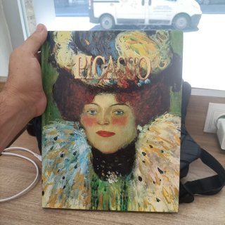 Libro de Arte Picasso