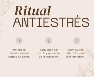 Masajes profesionales!