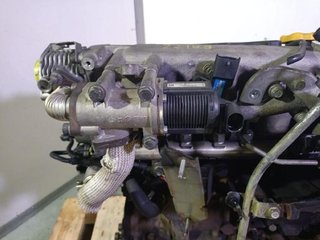 Rectp5410301 192a8000 motor fiat stilo van 1.9 jtd