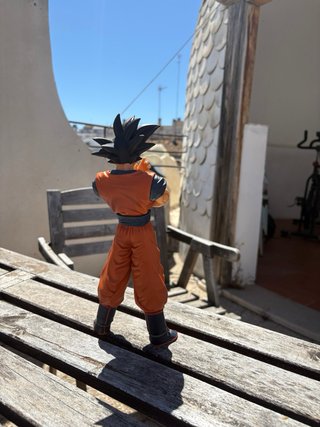 Figuras Goku y Maestro Roshi Dragon Ball