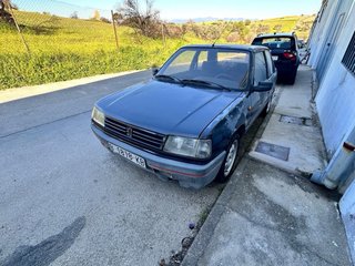 Peugeot 309 1989