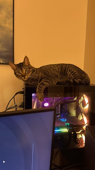 PC i7-9700K RTX 3070