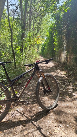 Bicicleta BH Lynx SLS 9.0 2025
