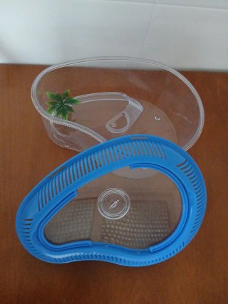 Acuario Tortugas Azul y Transparente