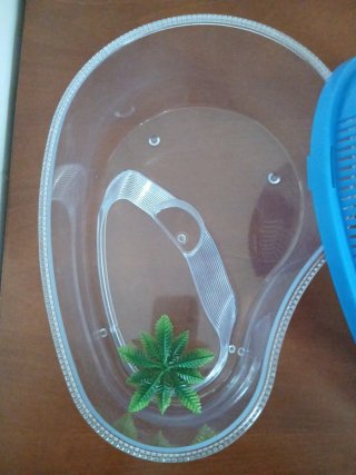 Acuario Tortugas Azul y Transparente