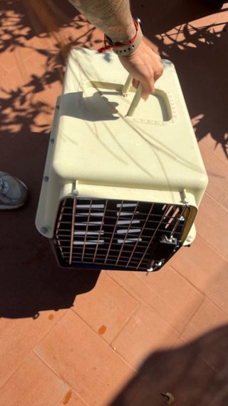 Transportín para mascotas beige y gris