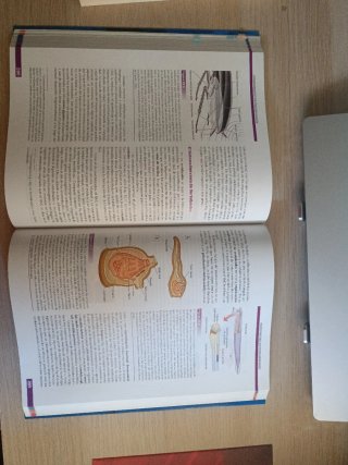 Fundamentos de psicobiología