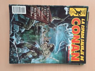 Lote de Comics La Espada salvaje CONAN el Bárbaro