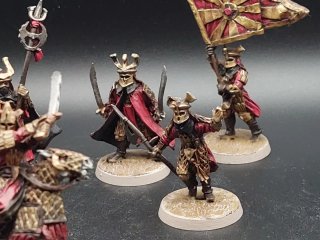 Esercito Esterling dipinto Middle Earth Guerrieri