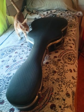 Guitarra Española Ricardo Sanchis 1988