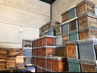 Colmenas de madera layend sin abejas