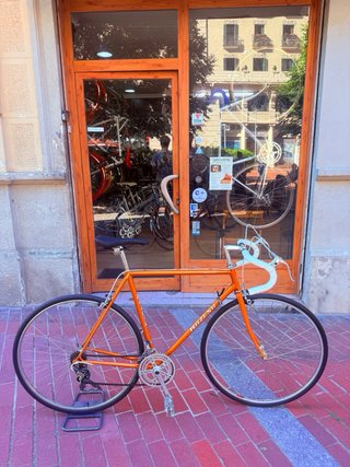 Bicicleta Vintage RAZESA Carretera