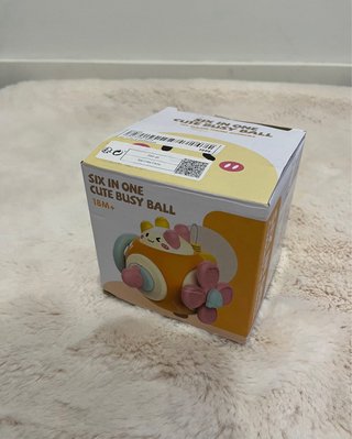Bola de bebe Baby 6 em 1