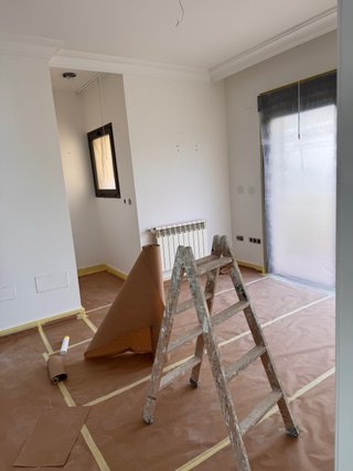 Pintor profesional cartagena