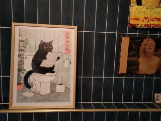 Stampa Gatto Nero WC 40x30 Cornice Legno