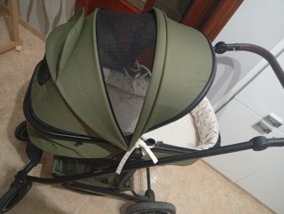 Carro de bebé verde