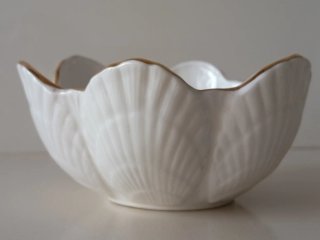 Cuenco Aynsley porcelana flores mariposa