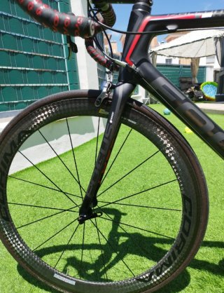 Focus Izalco Max