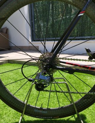 Focus Izalco Max