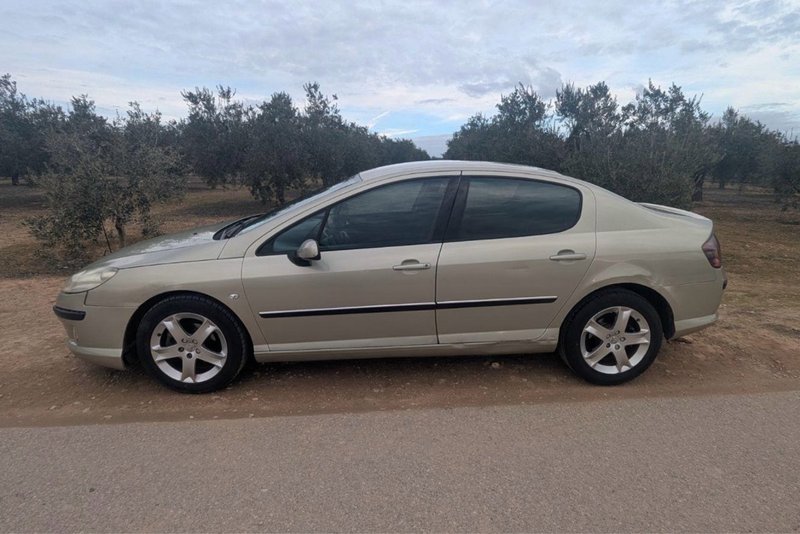 Peugeot 407 2005 - foto 1