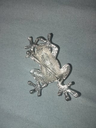 Broche Rana y Aros plateados