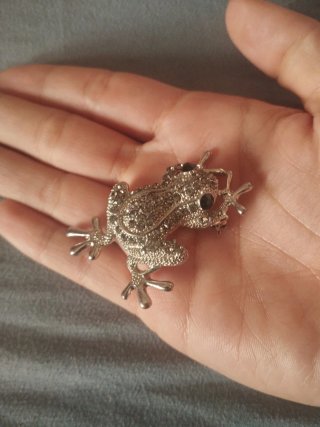 Broche Rana y Aros plateados