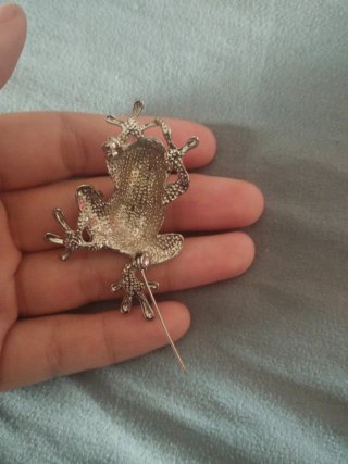 Broche Rana y Aros plateados