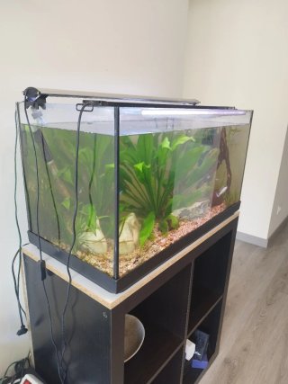 Acuario 110L en A Coruña