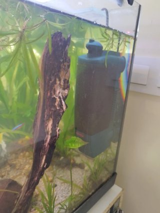 Acuario 110L en A Coruña