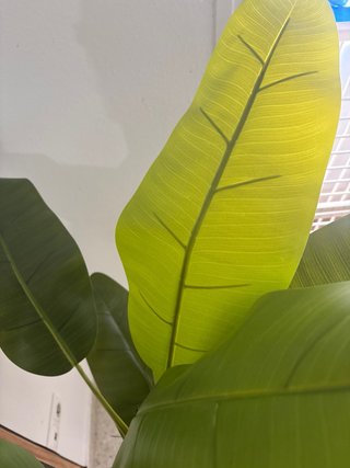 Platanera Artificial Grande 1.80cm