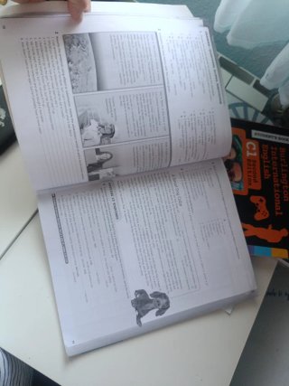 Libros ingles y worboock 2 Bach ciencias