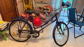Bicicleta Urbana Dunlop