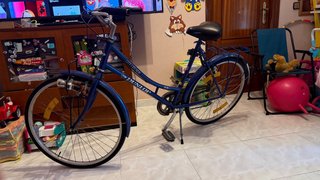 Bicicleta Urbana Dunlop