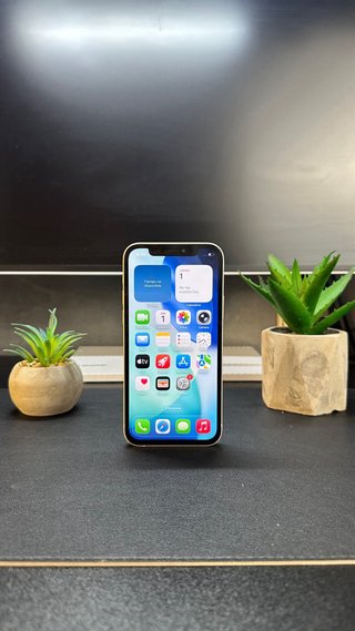 iPhone 12 | 128GB | 100% Batería