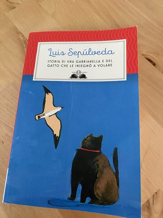 Storia di una gabbianella e del gatto che le in...