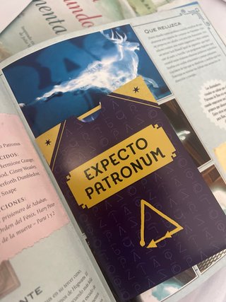 Harry Potter: Hechizos y Encantamientos Álbum