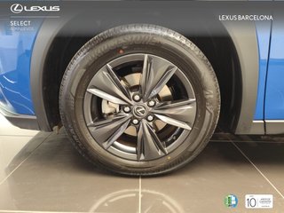 Lexus UX300 UX+ 2025 REF 3598