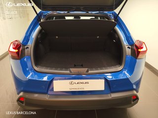 Lexus UX300 UX+ 2025 REF 3598