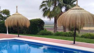 Sombrillas de playa El Brezal