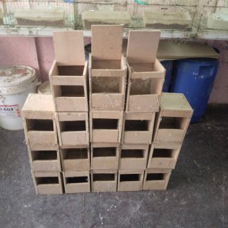 18 nidos 1,5 nido  madera exterior diamantes gould