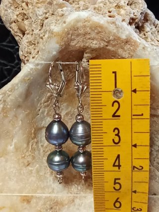 Pendientes Perlas Barrocas Azules y Plateadas