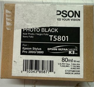 Cartucho Tinta Epson Photo Black T5801