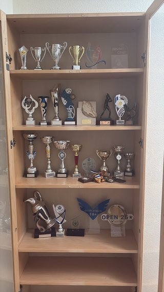 Lote de Trofeos Deportivos - Venta Individual
