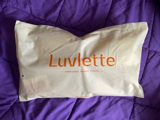 Sujetador Luvlette 100E Beige