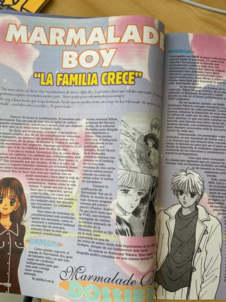 Minami 2000 Marmalade Boy