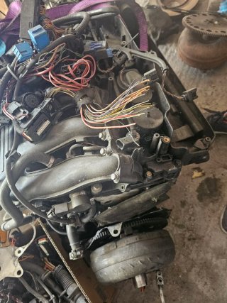 Motor BMW M57 330d 204cv
