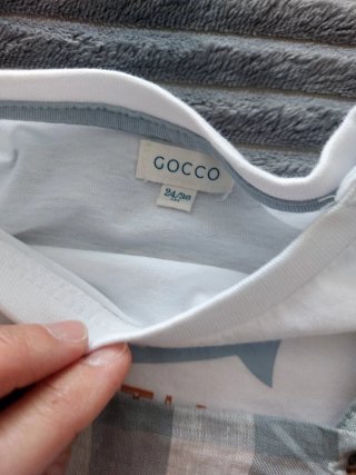Conjunto Gocco 24/36 meses niño