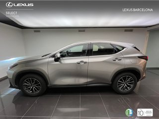 Lexus NX350 PREMIUM+ 2026 REF 4118