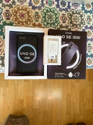 Vivo V40 SE 80W
